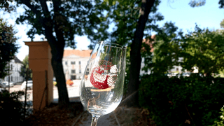 Svatomartinský košt